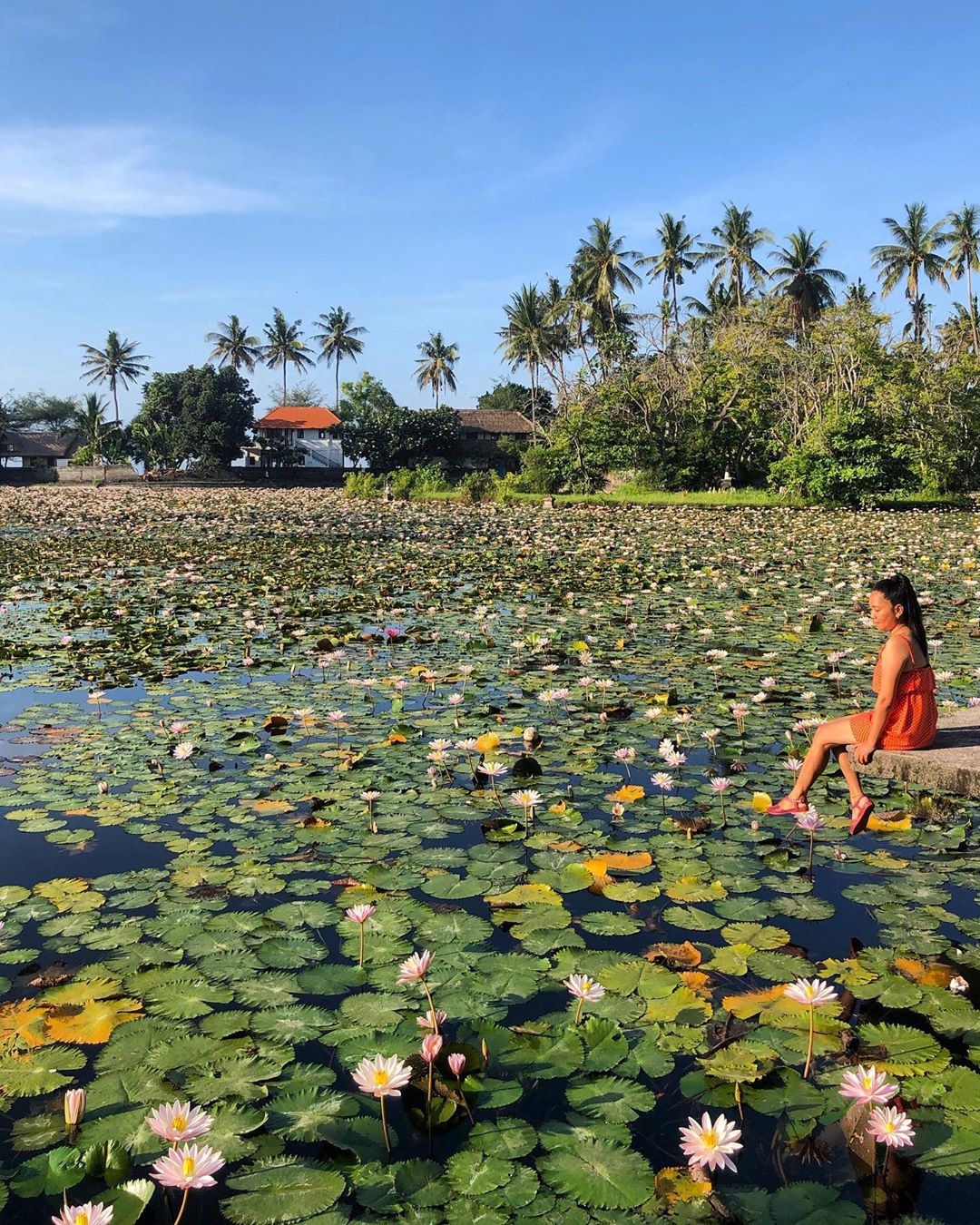 Khung cảnh thơ mộng ở Lotus Lagoon